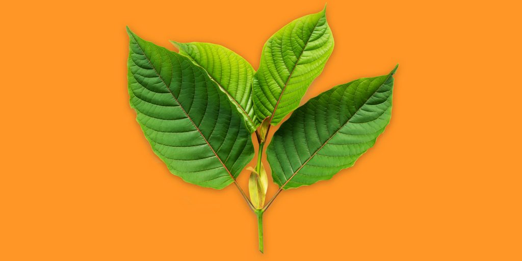 Green Vein Kratom